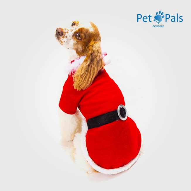 de Santa perro | Pet Pals Boutique