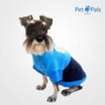 Suéter azul para perro