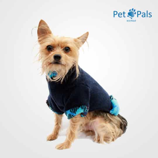 Suéter para perro cariño azul frente