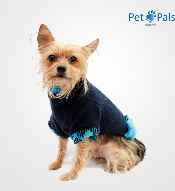 Suéter para perro cariño azul frente