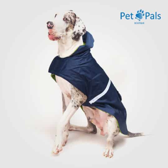 Impermeable azul con reflejante para perro