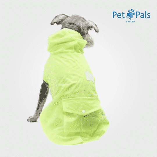 Rainy coat impermeable para perro espalda