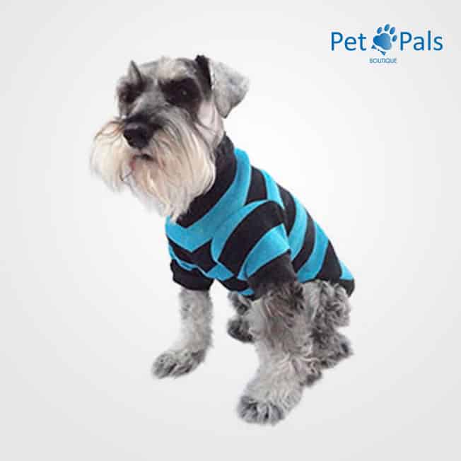 Suéter tejido azul para perro